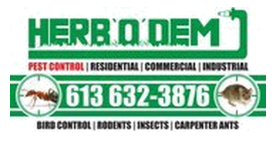 Herb's Towing